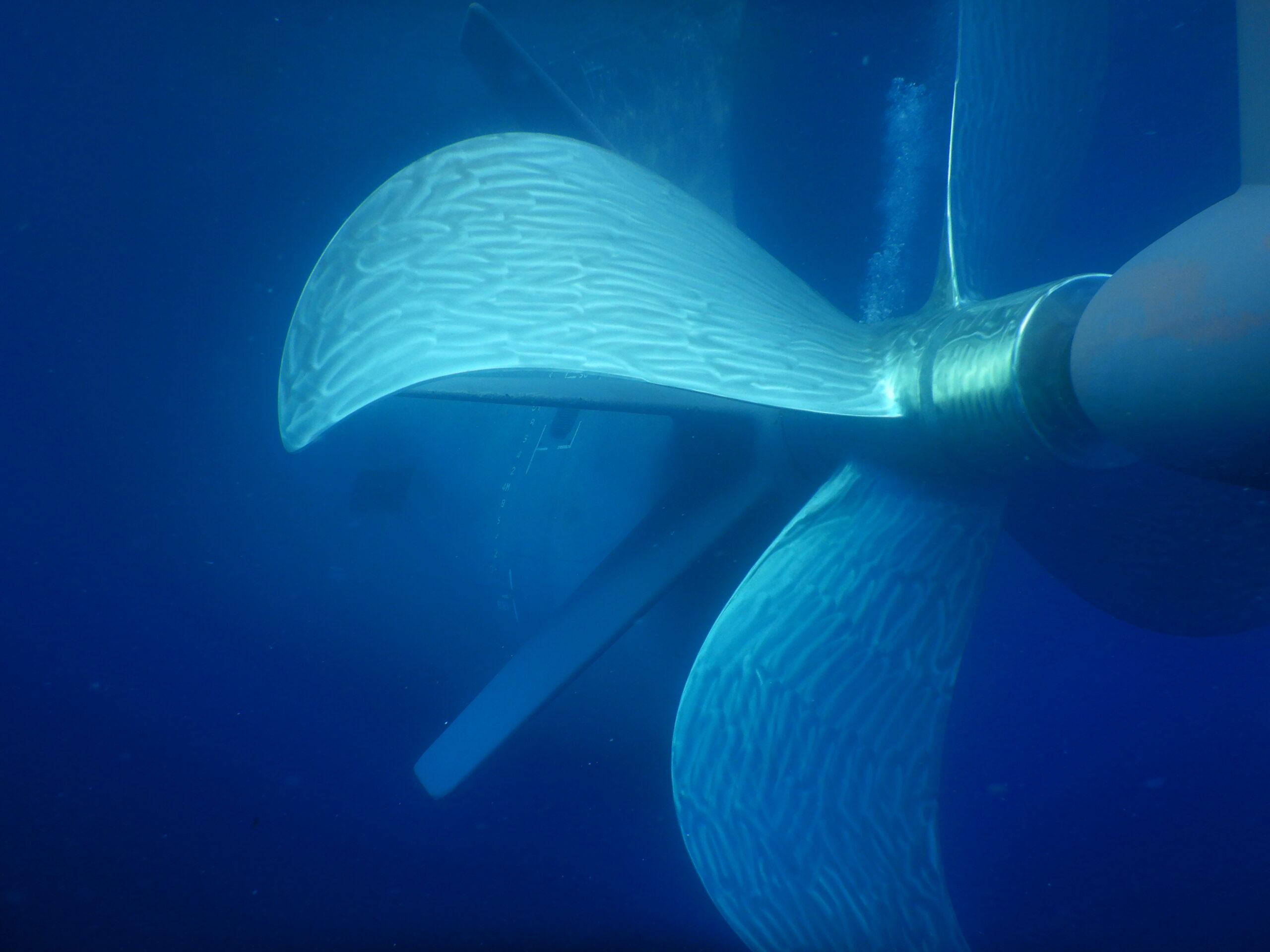 Propeller polishing (6)